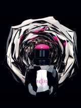  : Yves Saint Laurent Paris Rebel Collector