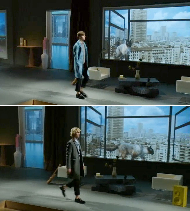    ,     ,    Prada / 2013-14