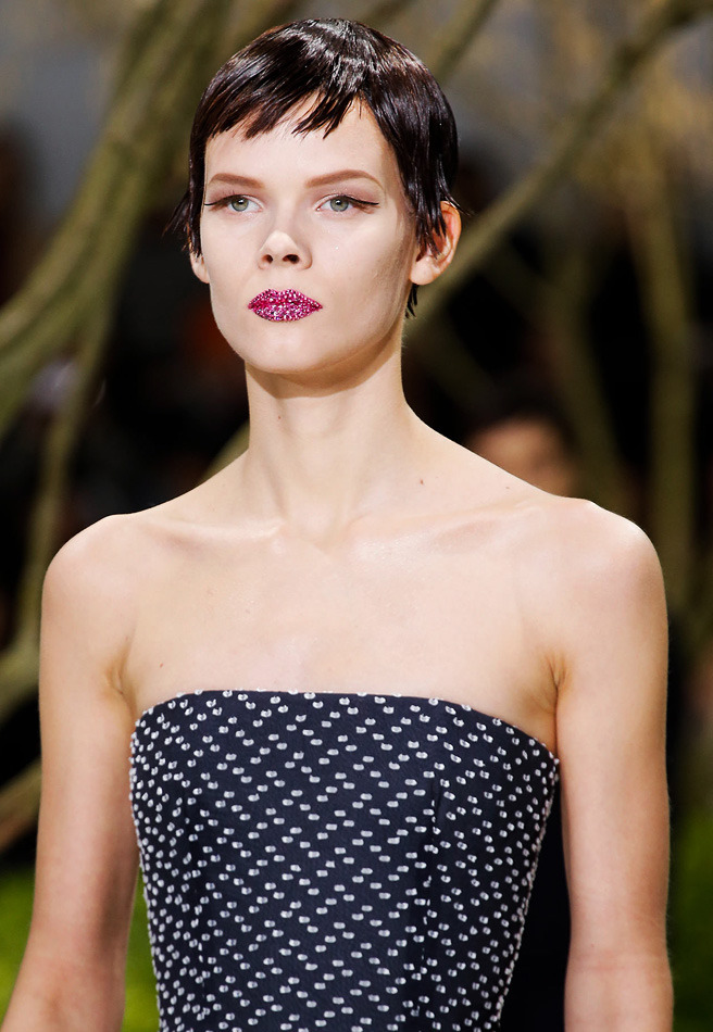      Christian Dior Haute Couture / 2013