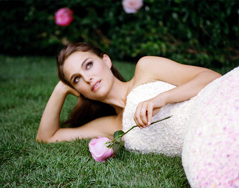   - Dior La Vie En Rose