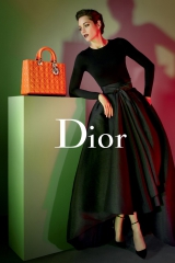      Lady Dior