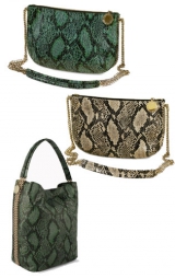  -:  Baby Bailey Boo  Stella McCartney