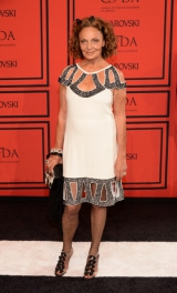   CFDA Fashion Awards 2013